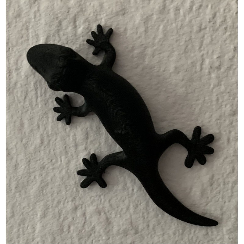 Wandbild "Gecko"